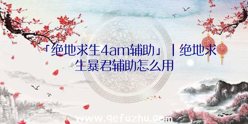 「绝地求生4am辅助」|绝地求生暴君辅助怎么用